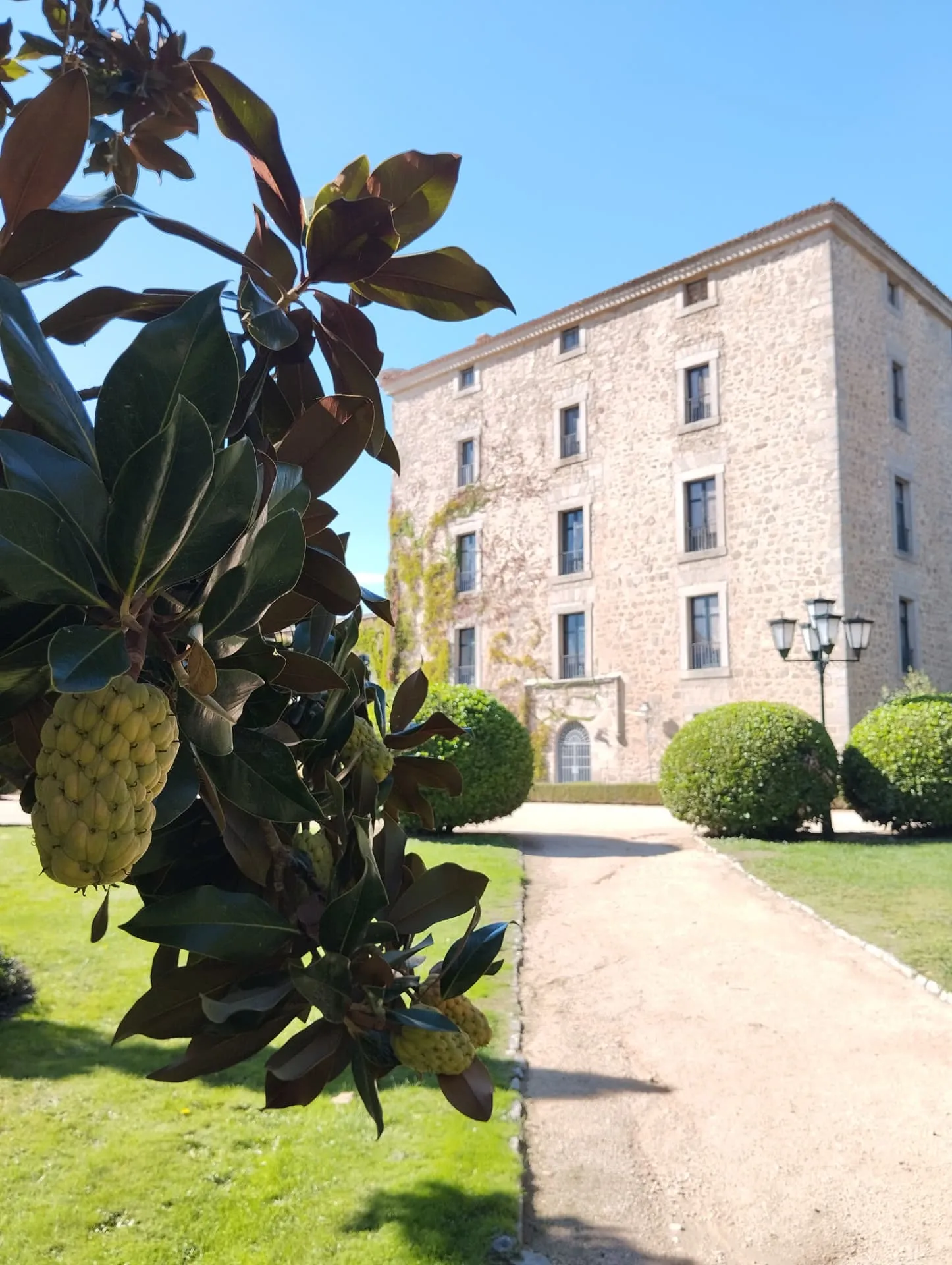 Character estate visited by Costa Magnifica