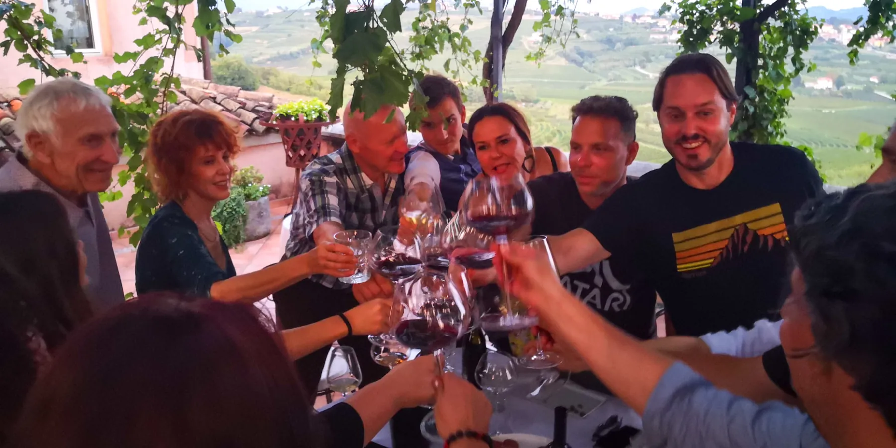 Guests sharing wine and food under vines above the Brda hills