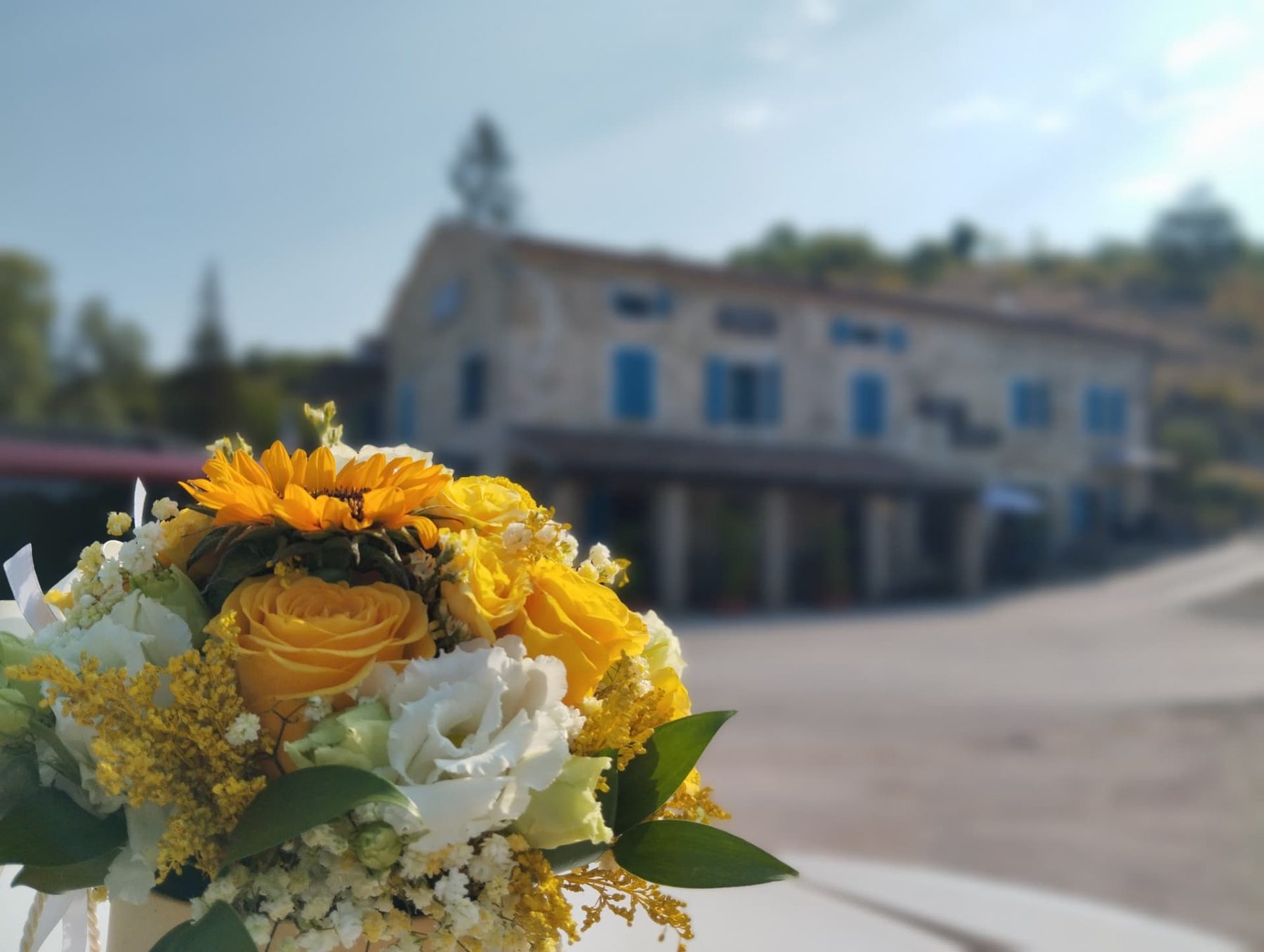 A yellow bouquet in close focus with the konoba soft behind it