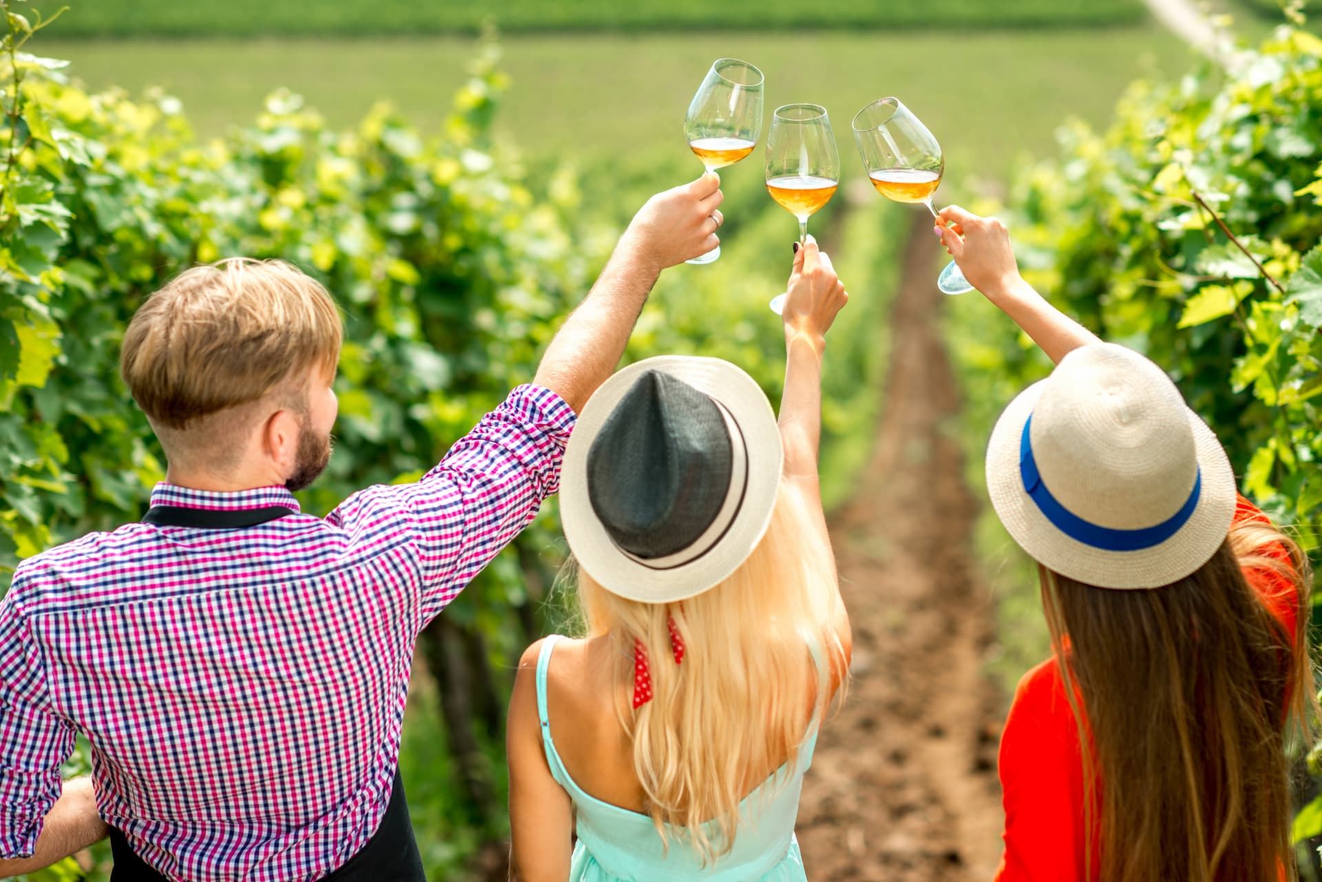 Three guests raising glasses of wine among the vines